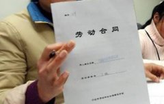 国内商品期货主力合约开