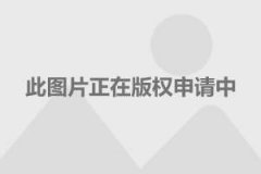 超44万人爆仓！加密货币遭 