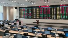 王红履新深圳证券交易所 